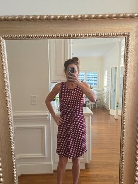 Banana Republic Sleeveless Burgundy Polka Dot Tie-Waist Mini Dress